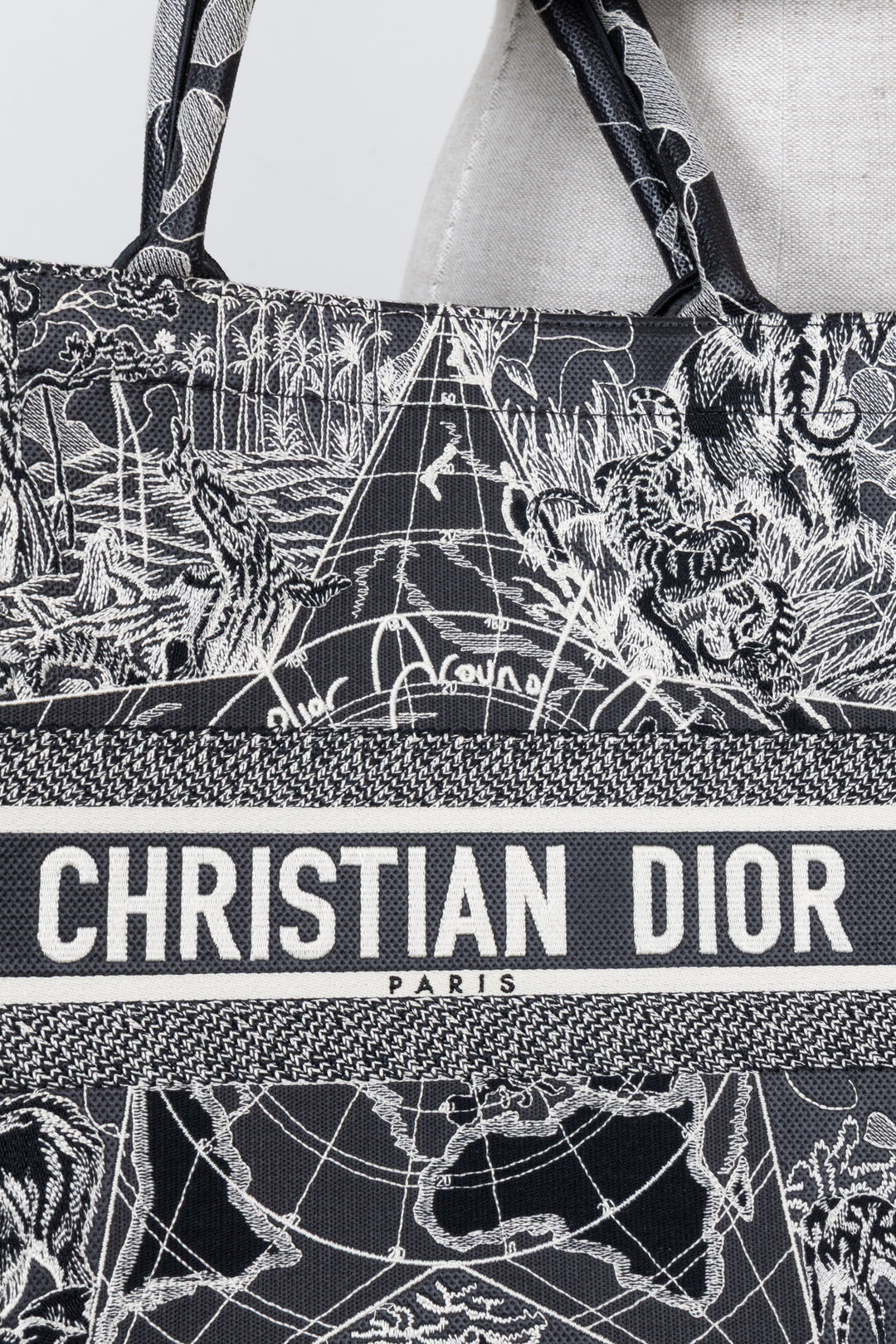 CHRISTIAN DIOR Around The World Medium Book Tote Bag