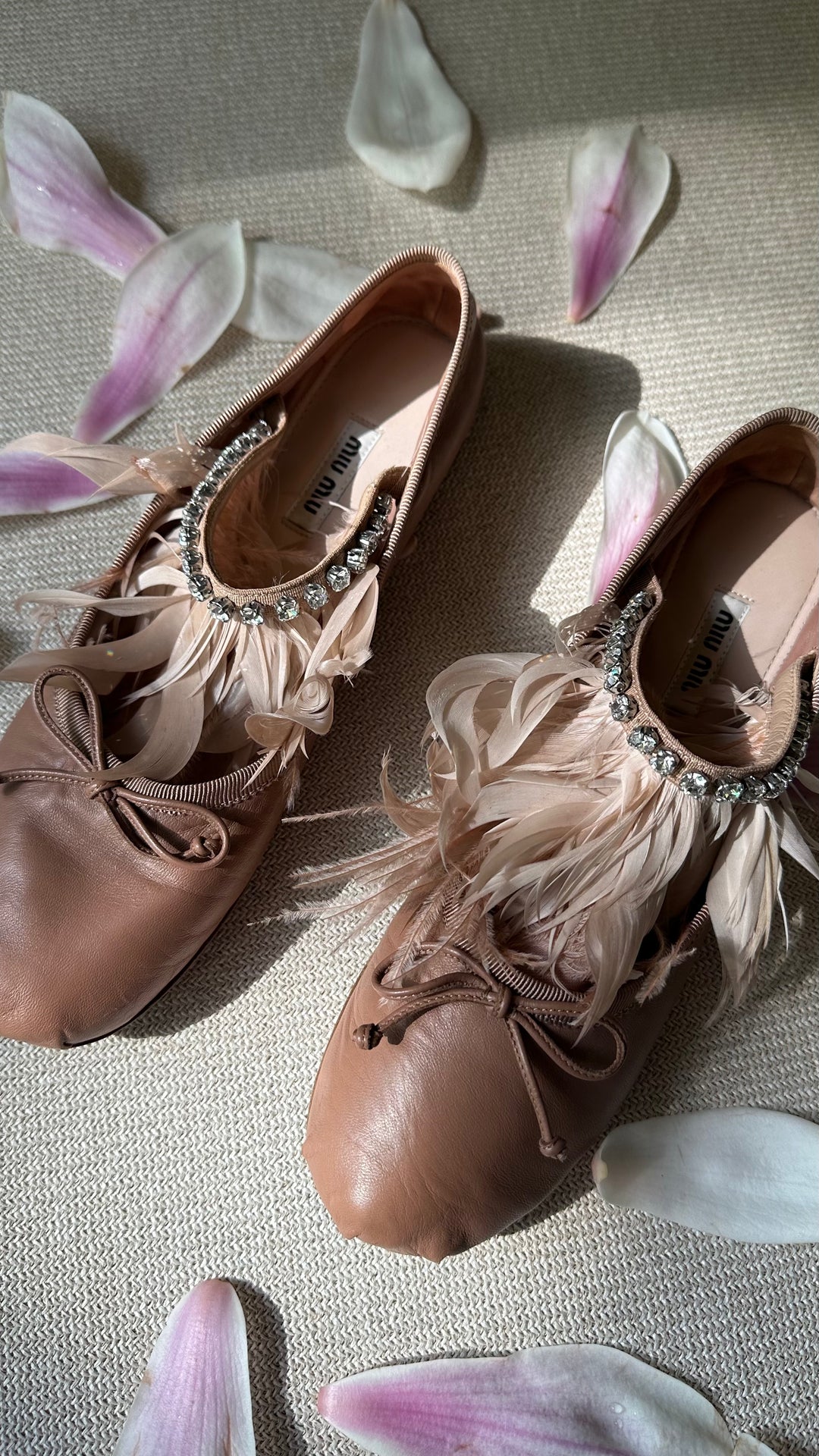 MIUMIU Ballet Flats Feathers Crystal Dusty Pink