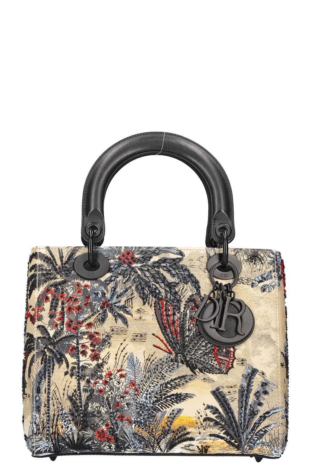 CHRISTIAN DIOR Sac Lady Dior Moyen Multicolore REAWAKE
