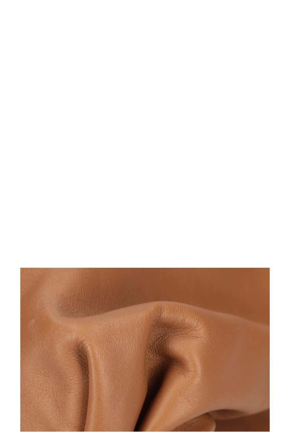 BOTTEGA VENETA The Pouch Camel