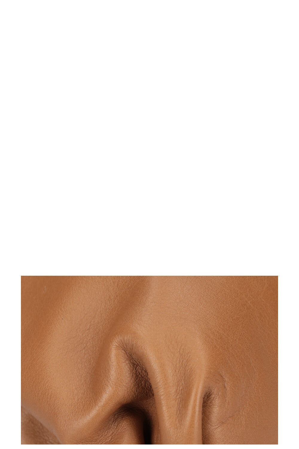 BOTTEGA VENETA The Pouch Camel