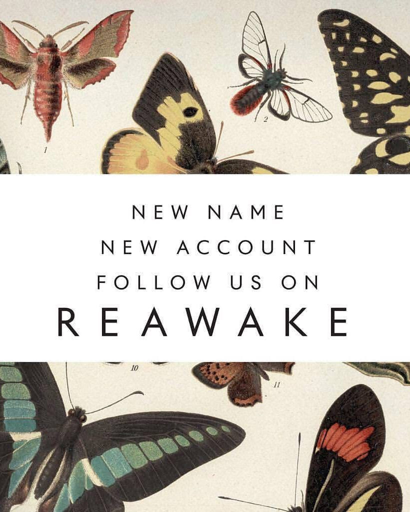 Markentussi devient REAWAKE