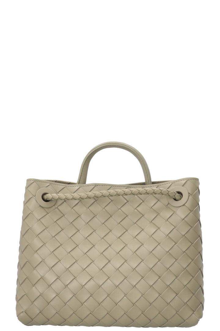 BOTTEGA VENETA Small Andiamo Tote Leather Sage