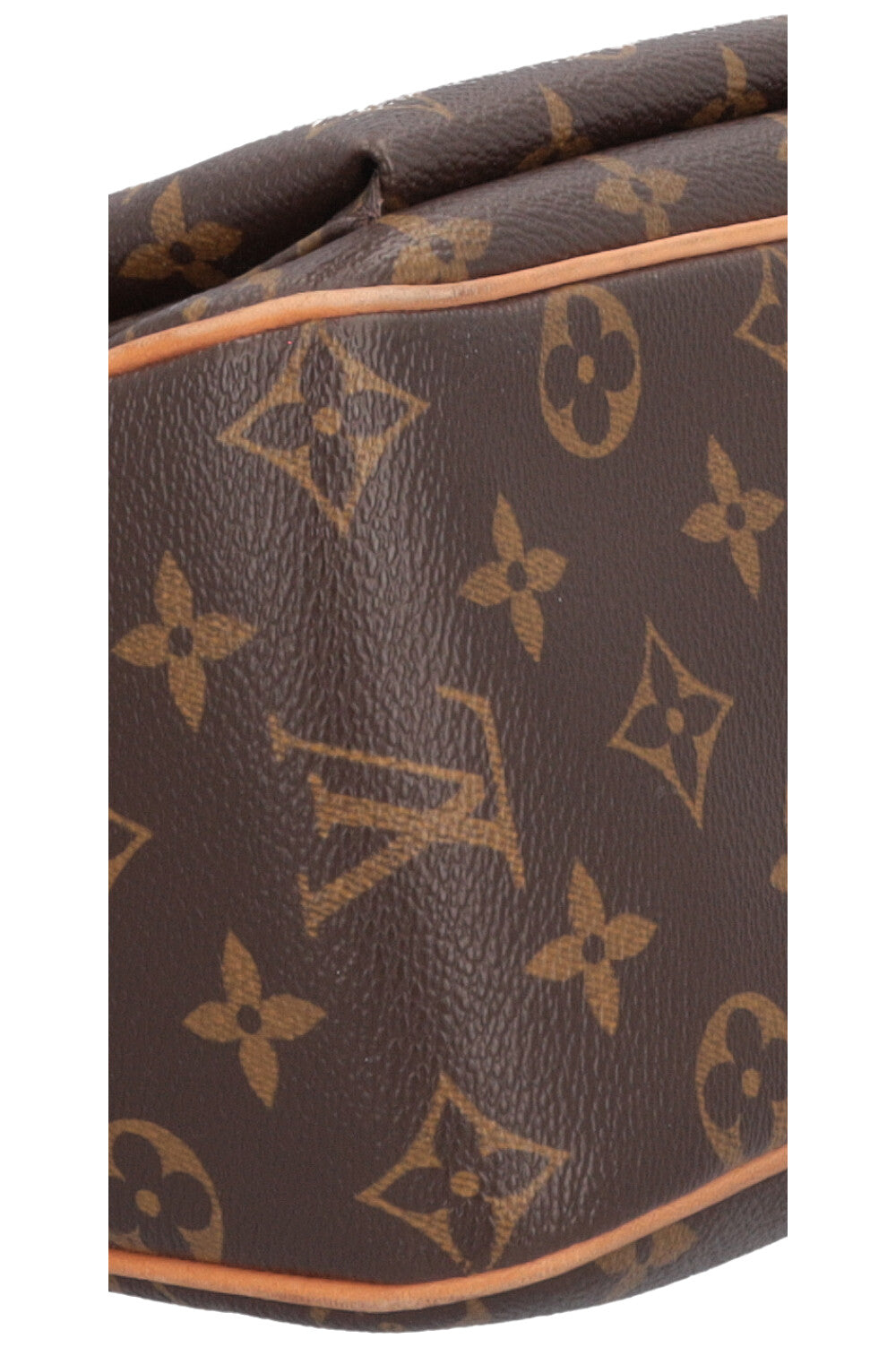 LOUIS VUITTON Viva Cite GM Bag MNG Canvas
