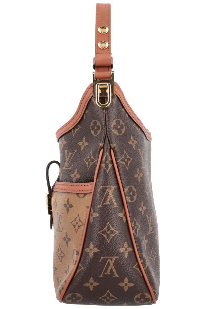 LOUIS VUITTON Dauphine Hobo MM MNG Bag