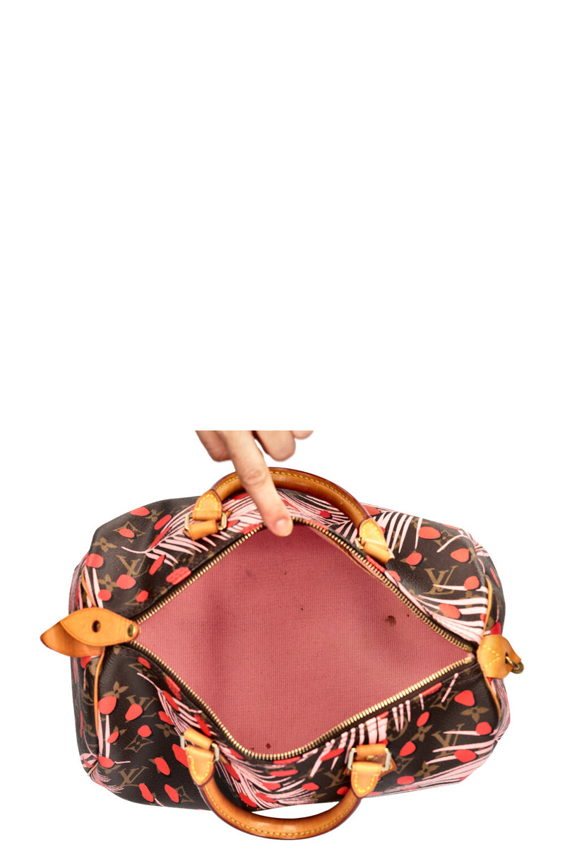 LOUIS VUITTON Jungle Dots Speedy 30 MNG