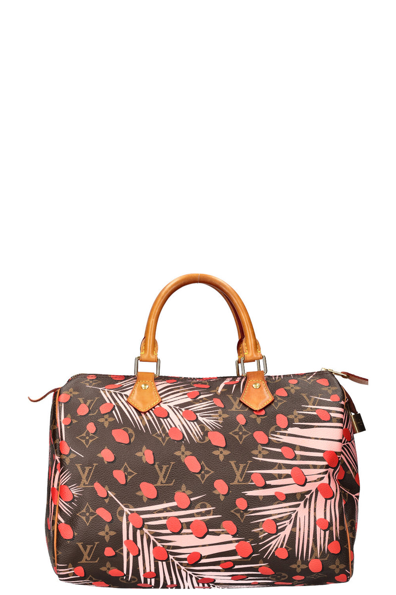 LOUIS VUITTON Jungle Dots Speedy 30 MNG