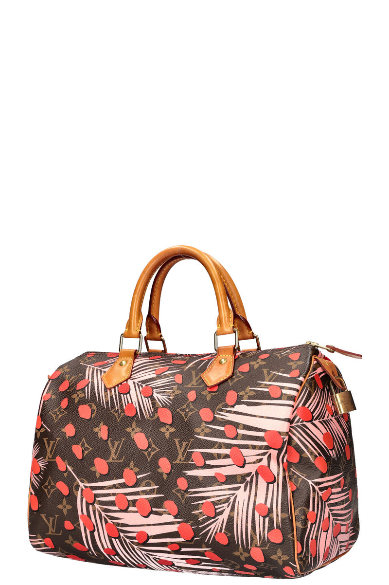 LOUIS VUITTON Jungle Dots Speedy 30 MNG