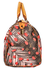 LOUIS VUITTON Jungle Dots Speedy 30 MNG