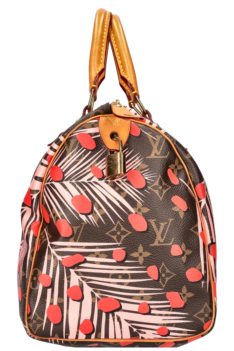 LOUIS VUITTON Jungle Dots Speedy 30 MNG
