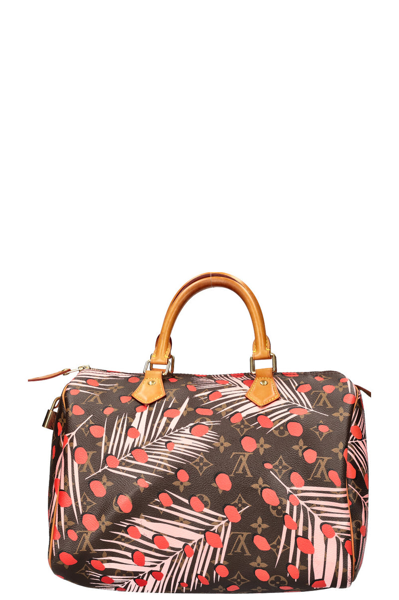 LOUIS VUITTON Jungle Dots Speedy 30 MNG