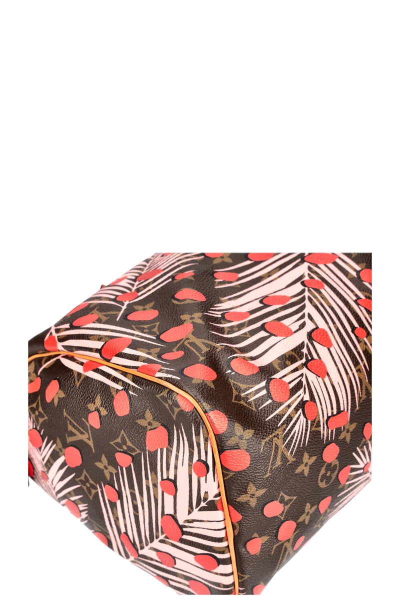LOUIS VUITTON Jungle Dots Speedy 30 MNG