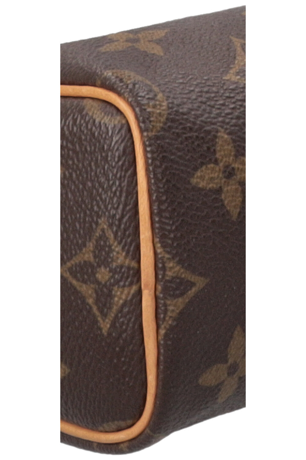 LOUIS VUITTON Micro Speedy MNG