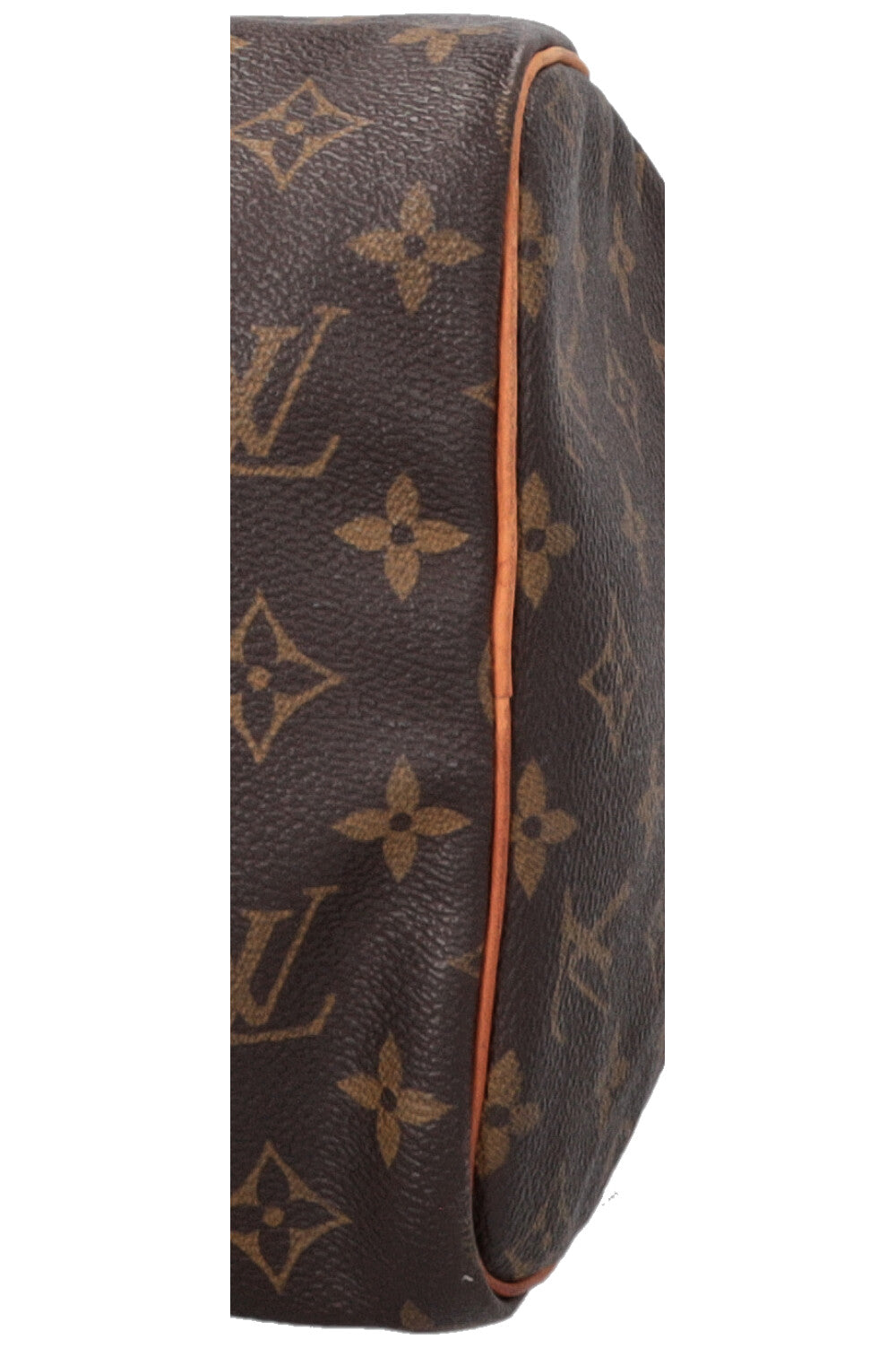 LOUIS VUITTON Speedy30 MNG Canvas