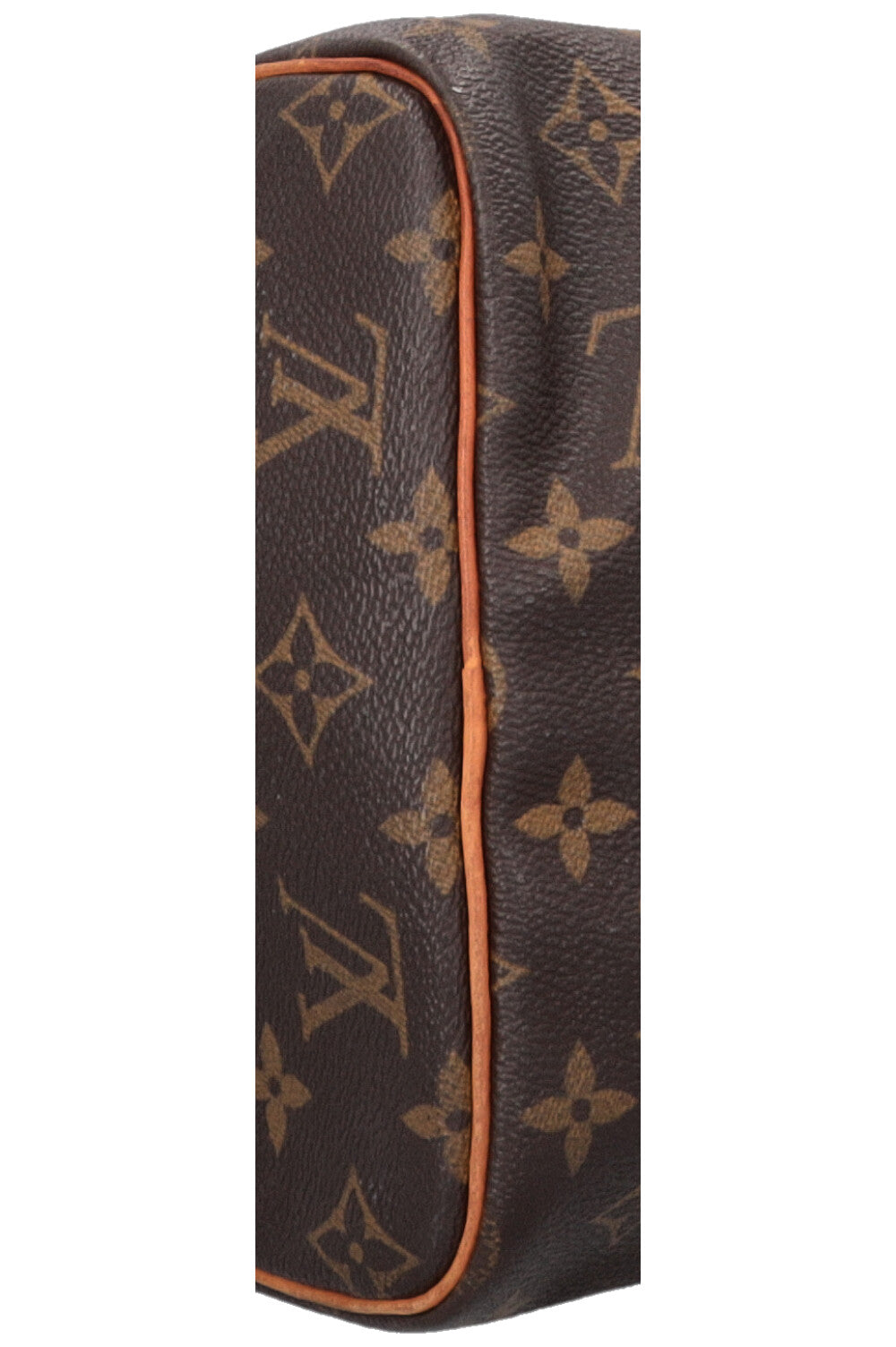 LOUIS VUITTON Speedy30 MNG Canvas