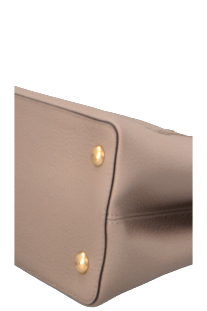 LOUIS VUITTON Capucines GM Python Top Handle Bag Taupe