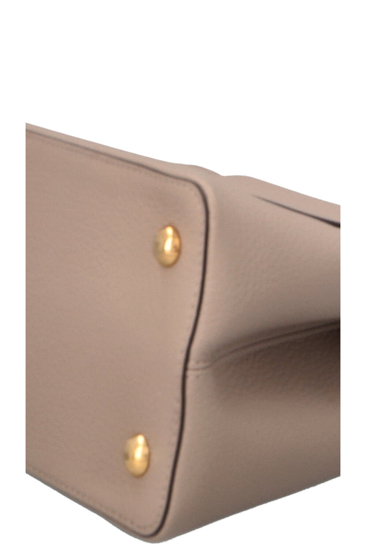 LOUIS VUITTON Capucines GM Python Top Handle Bag Taupe