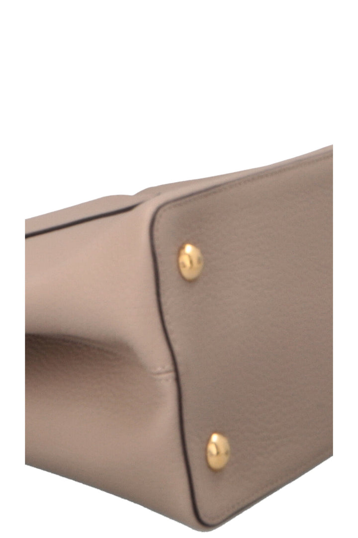 LOUIS VUITTON Capucines GM Python Top Handle Bag Taupe