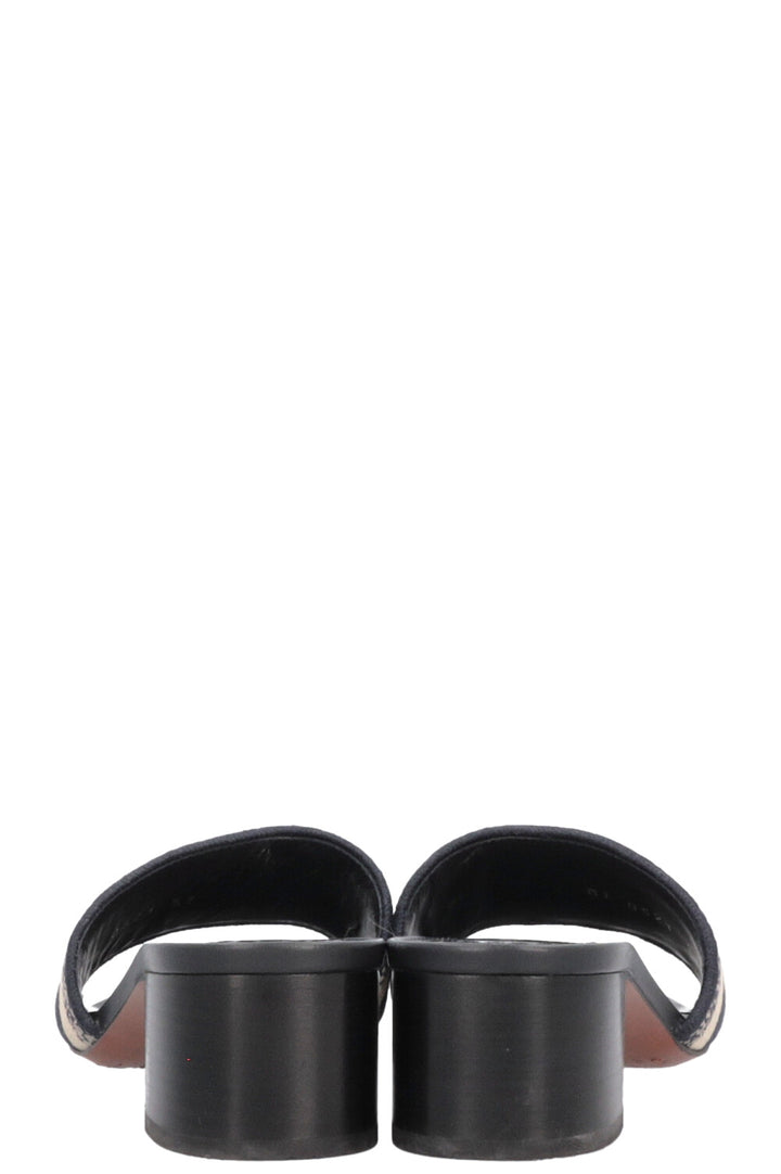 CHRISTIAN DIOR DWay Mules Blue