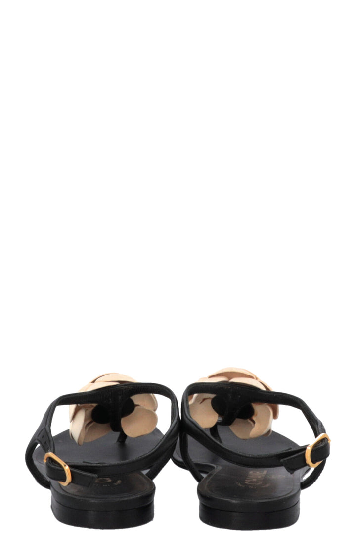 CHANEL Camellia Sandals Black