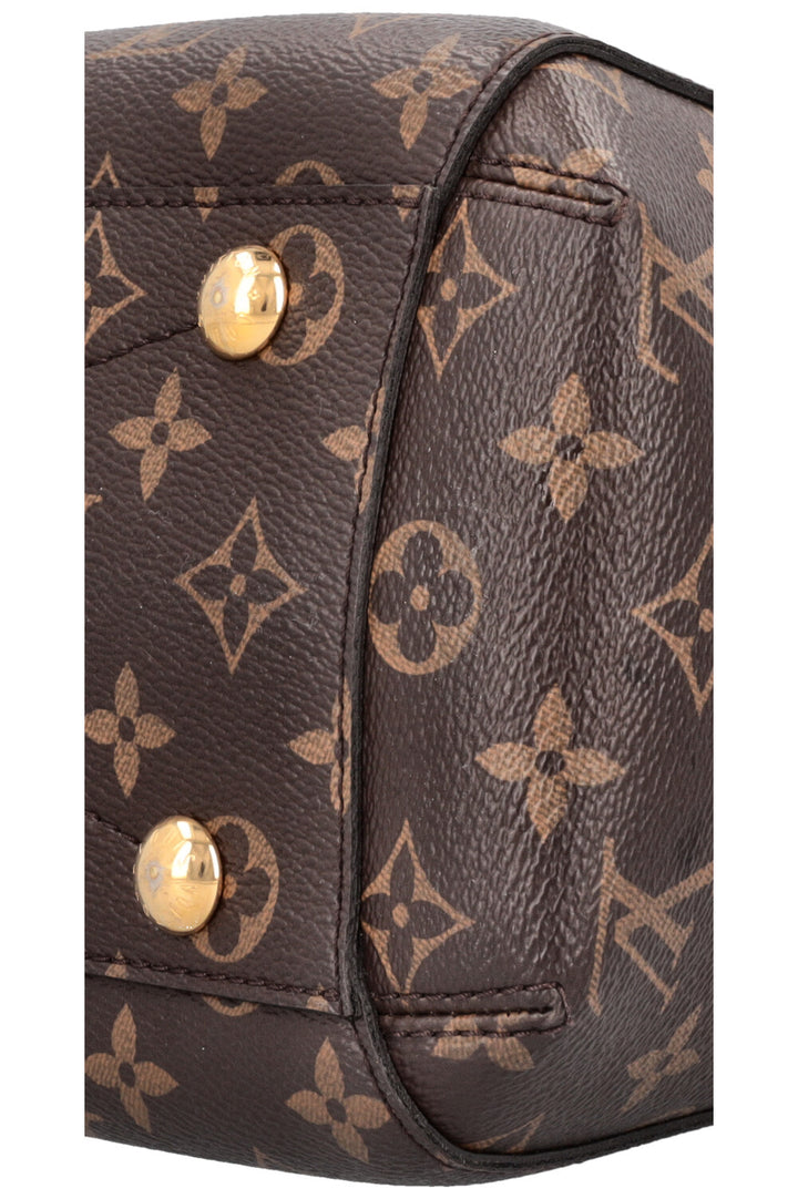 LOUIS VUITTON Montaigne Bag MM MNG