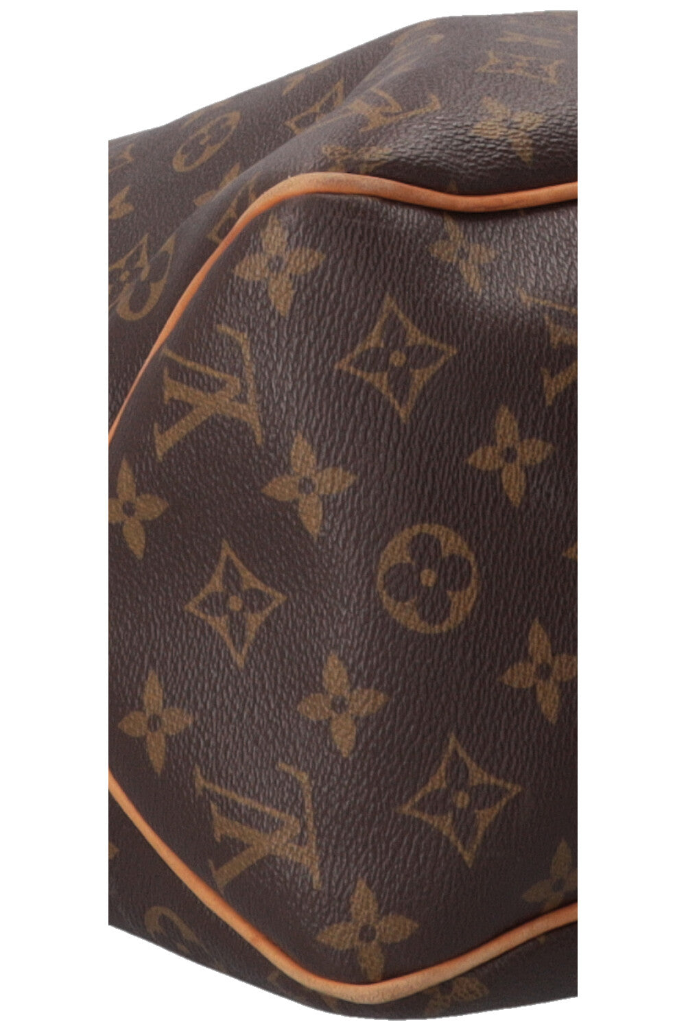 LOUIS VUITTON Delightful GM Bag MNG Canvas