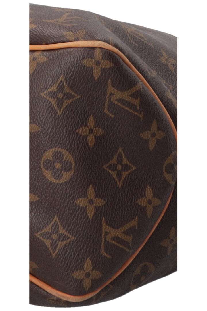 LOUIS VUITTON Delightful GM Bag MNG Canvas