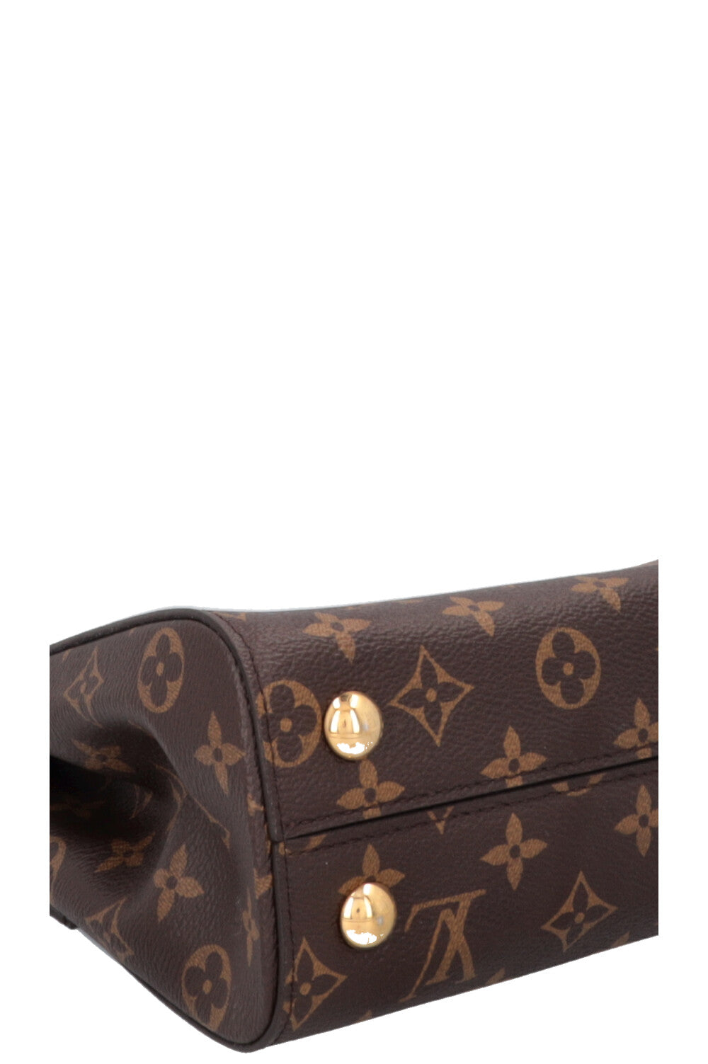 LOUIS VUITTON Cluny PM MNG Canvas