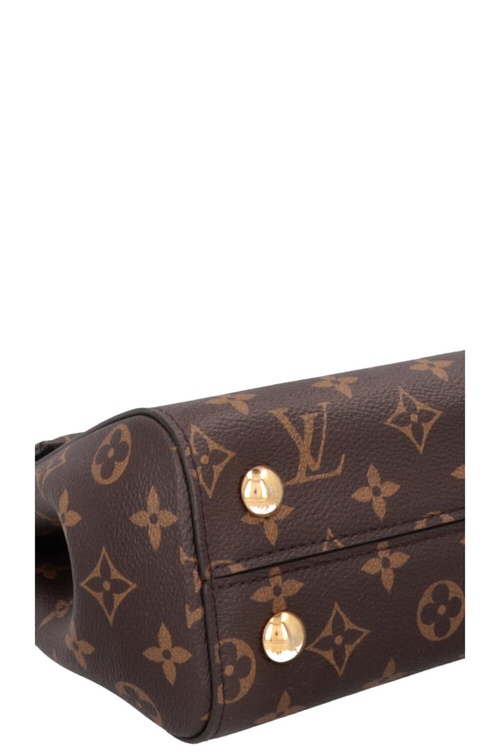 LOUIS VUITTON Cluny PM MNG Canvas