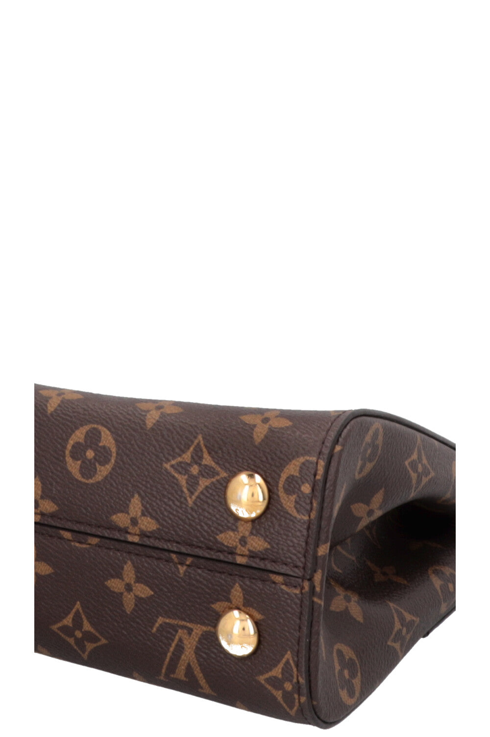 LOUIS VUITTON Cluny PM MNG Canvas