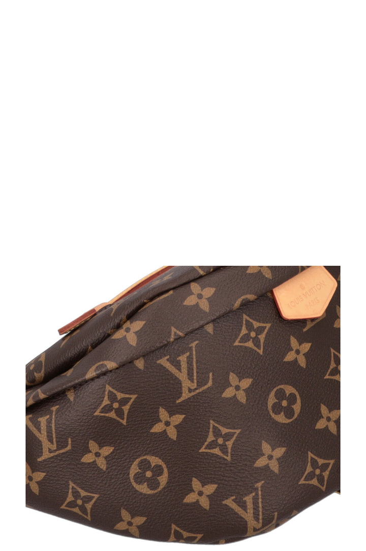 LOUIS VUITTON Bumbag MNG