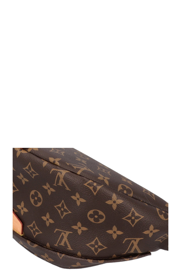 LOUIS VUITTON Bumbag MNG