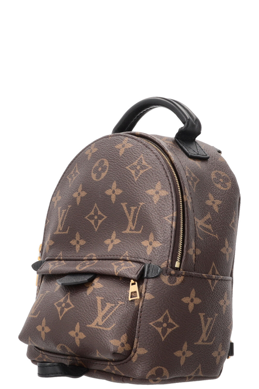 LOUIS VUITTON Palm Springs Backpack Mini MNG Canvas