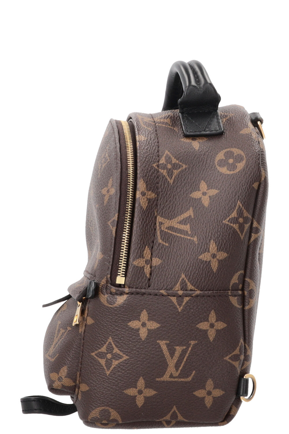 LOUIS VUITTON Palm Springs Backpack Mini MNG Canvas
