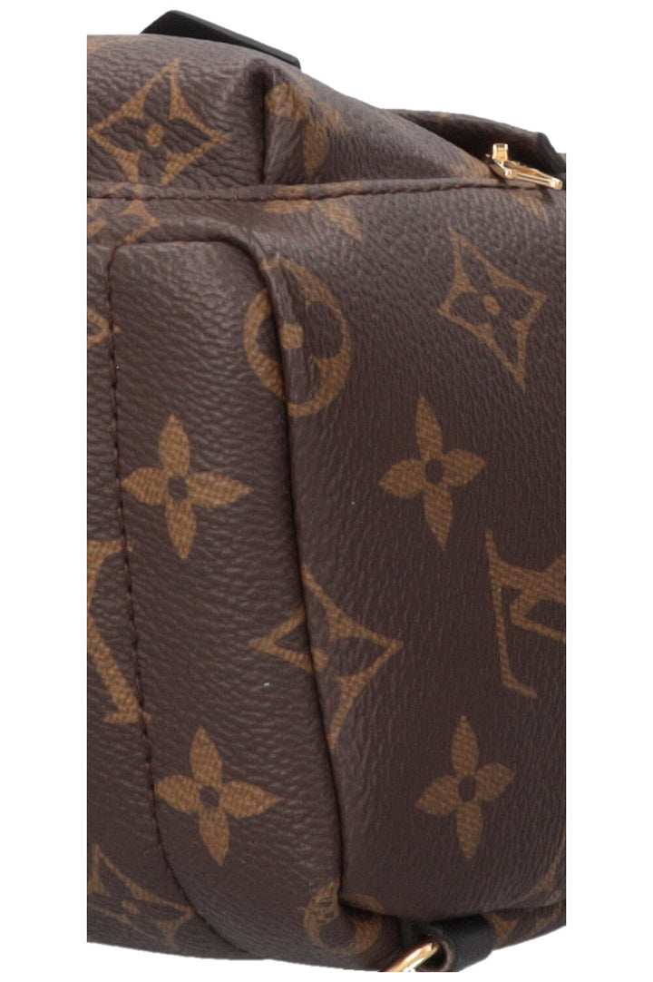 LOUIS VUITTON Palm Springs Backpack Mini MNG Canvas
