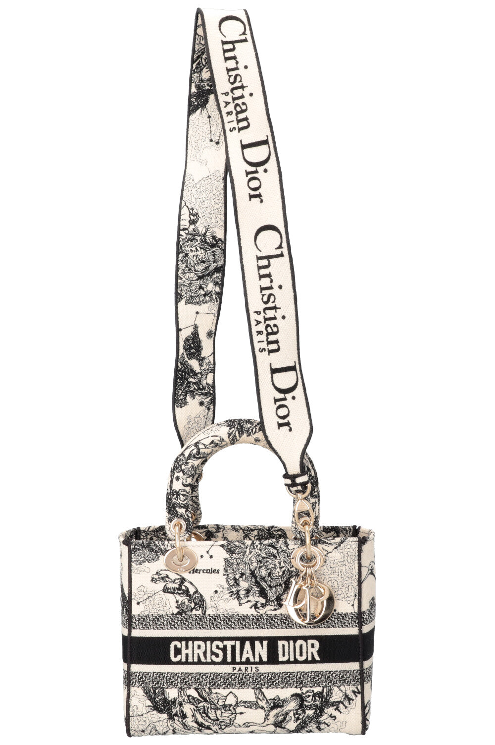 CHRISTIAN DIOR Medium Lady Dior D-Lite Hercules Canvas Ivory Black
