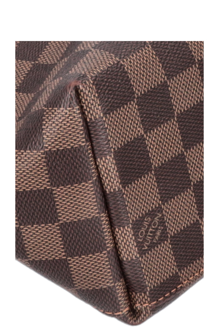 LOUIS VUITTON Clapton Backpack Damier Ebene