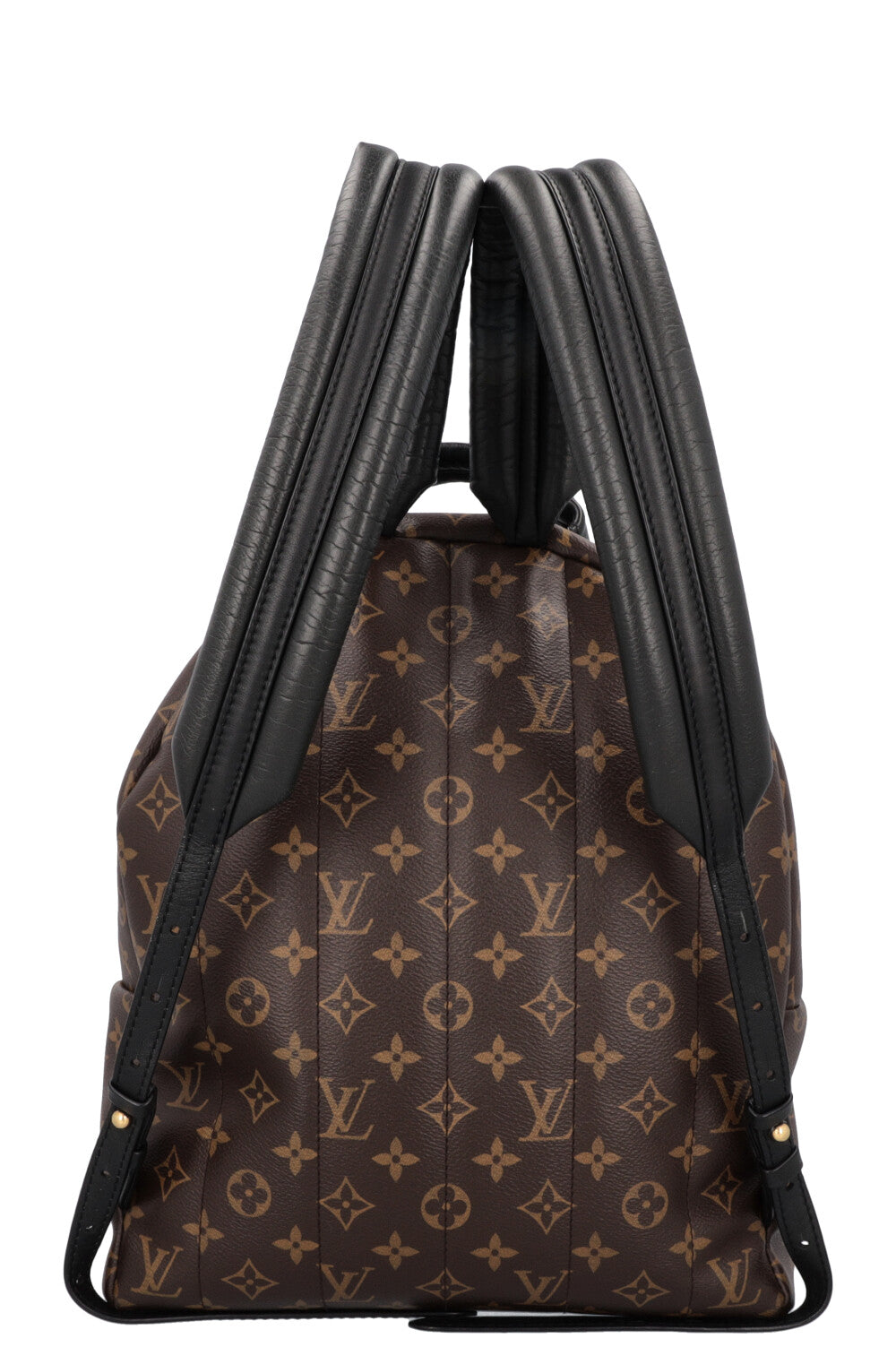 LOUIS VUITTON Palm Springs MM Backpack MNG Canvas