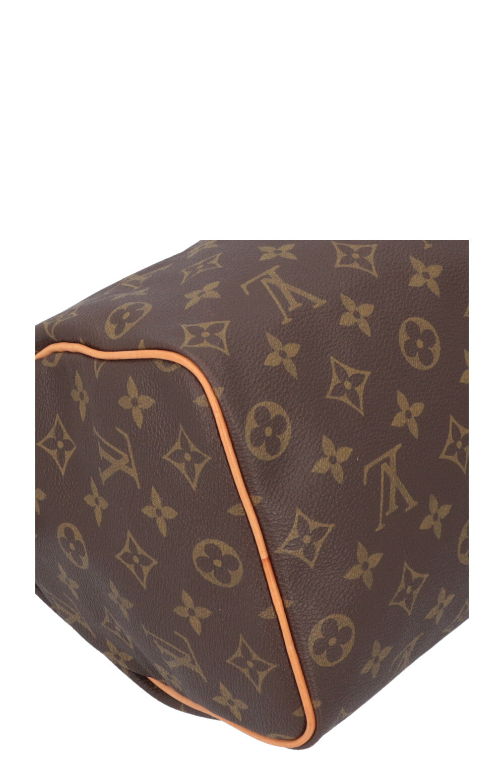 LOUIS VUITTON Speedy 25 MNG Canvas