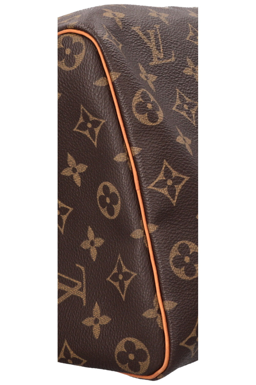 LOUIS VUITTON Speedy 35 MNG Canvas