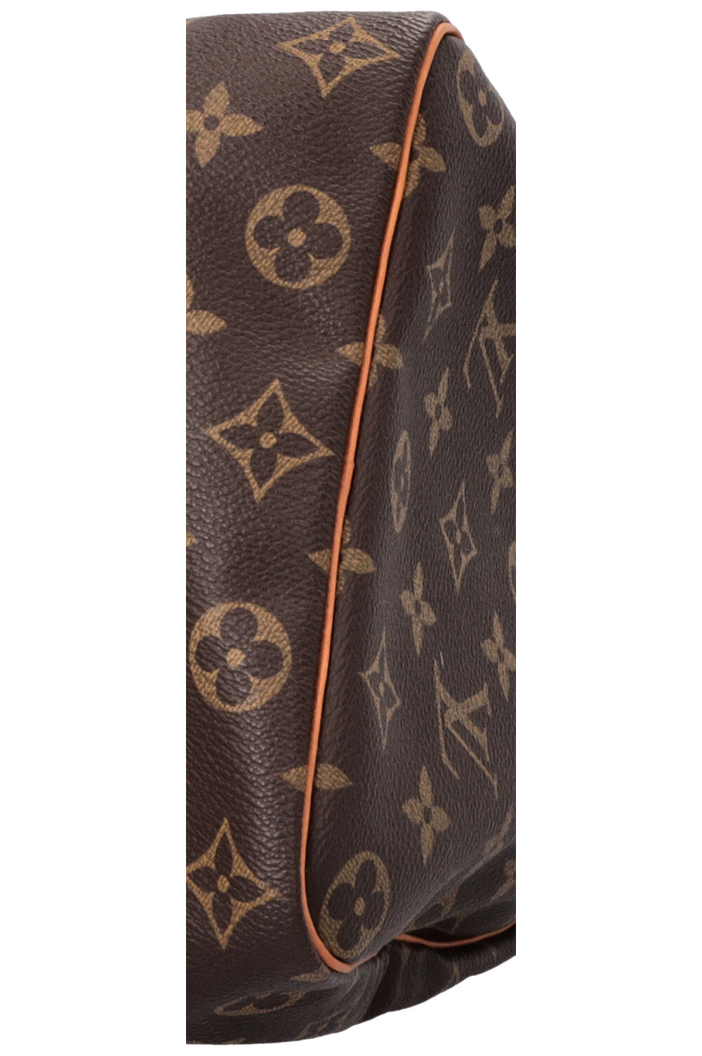 LOUIS VUITTON Speedy 35 MNG Canvas