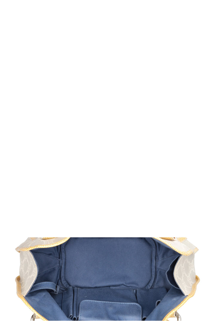 CELINE Triomphe Bittersweet Bag Denim Ice Blue