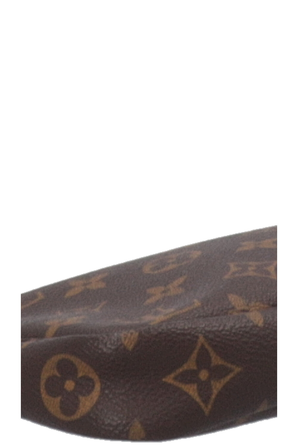 LOUIS VUITTON Pochette Accessories MNG