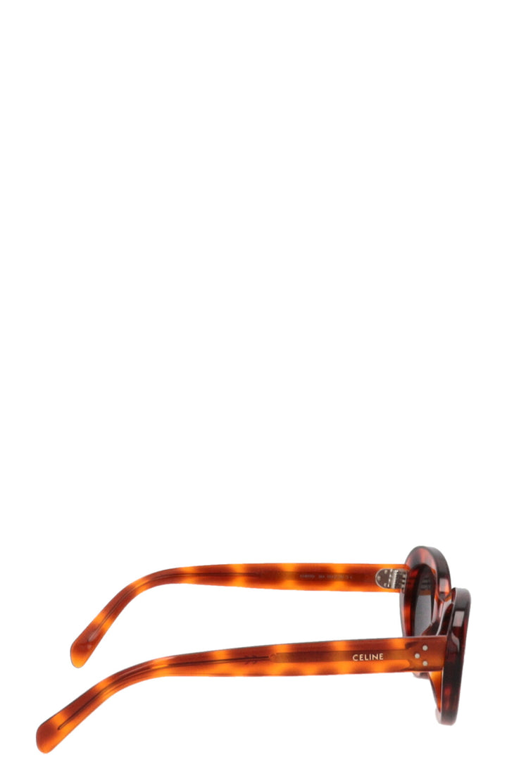 CELINE CL401931 Sunglasses Acetate Tortoise Brown