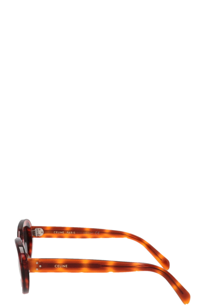 CELINE CL401931 Sunglasses Acetate Tortoise Brown