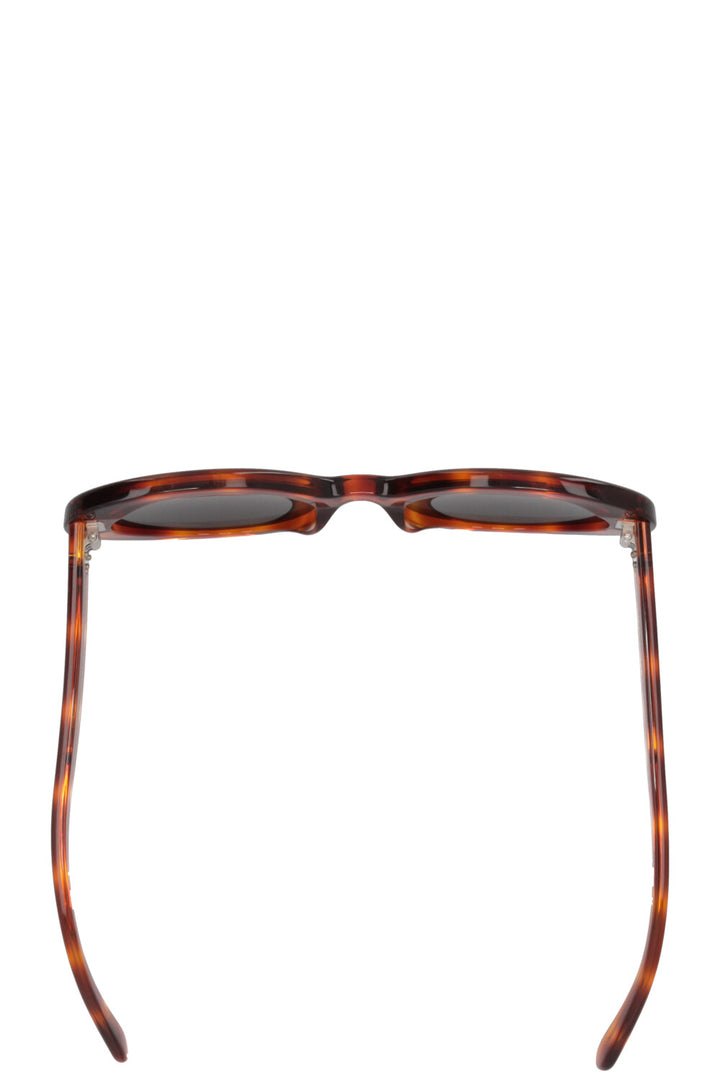 CELINE CL401931 Sunglasses Acetate Tortoise Brown