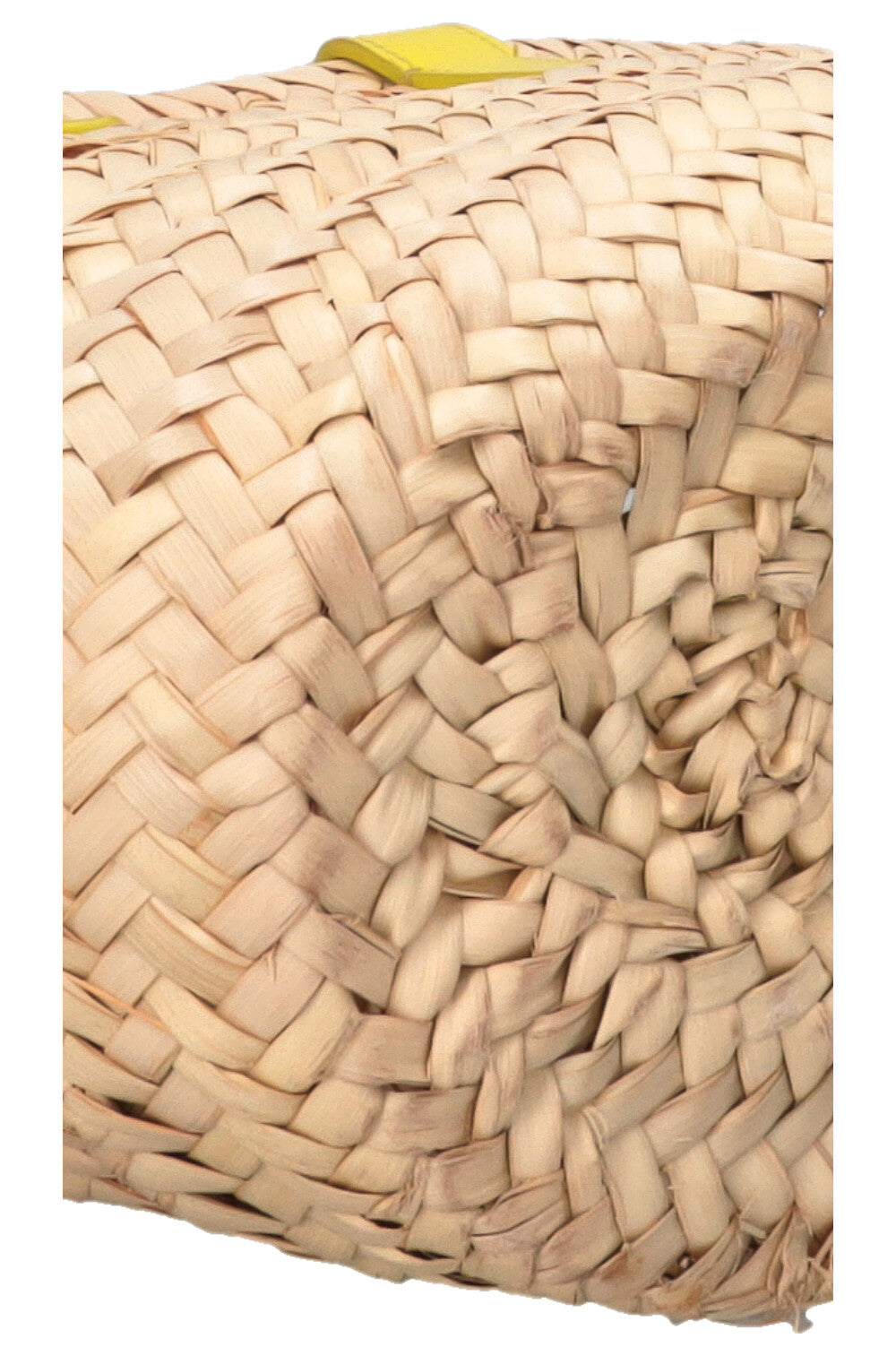CELINE Teen Triomphe Tote Panier Raffia Leather