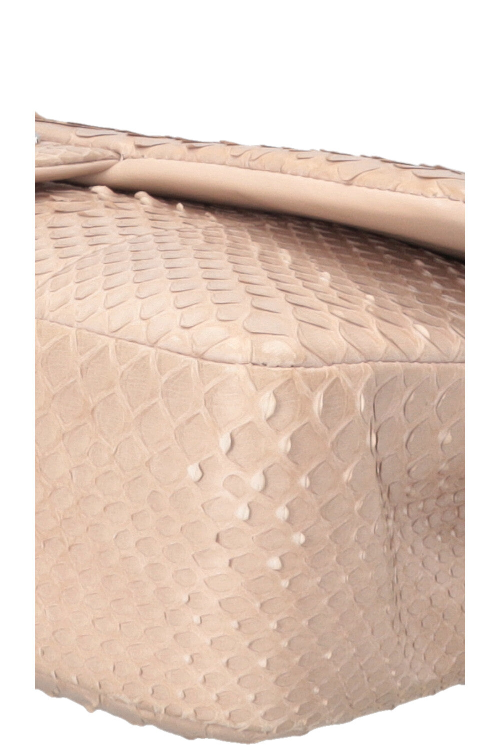 CHANEL Medium Charm Single Flap Python Beige