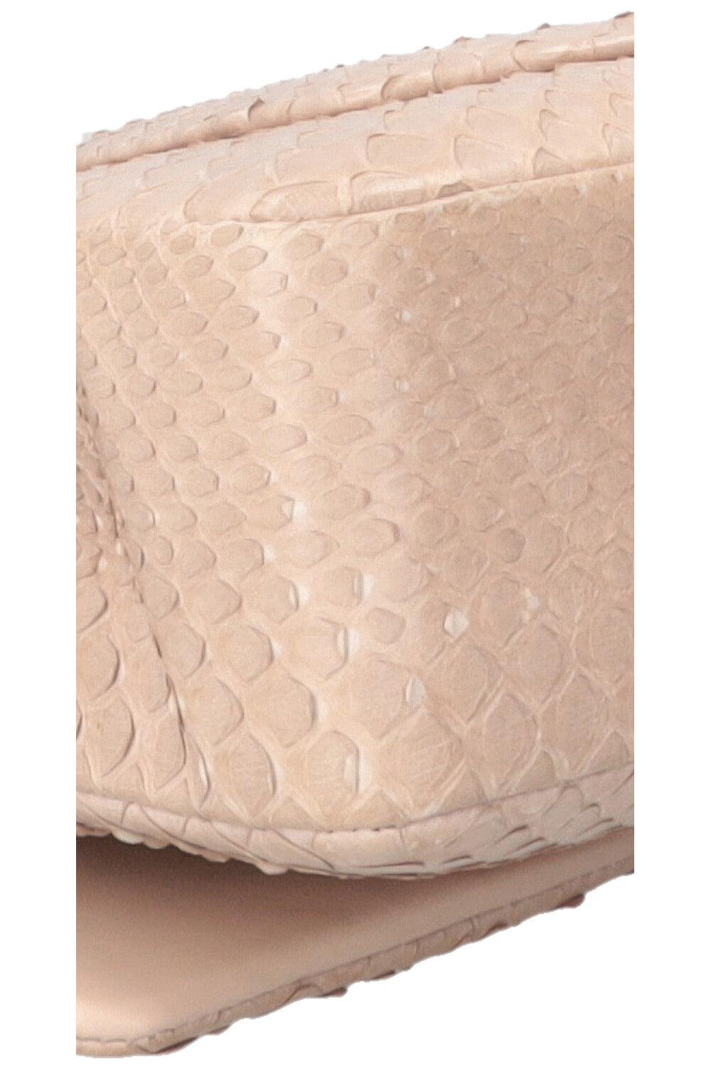 CHANEL Medium Charm Single Flap Python Beige
