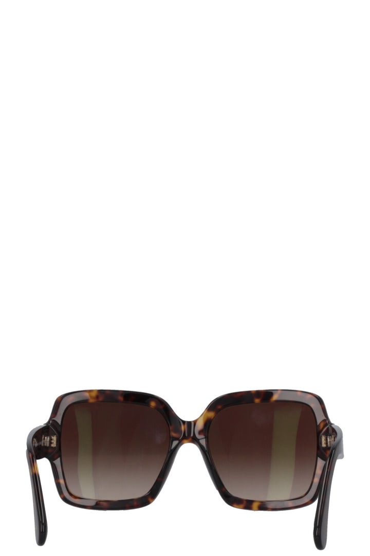 CHANEL Sunglasses 5479 Tortoise